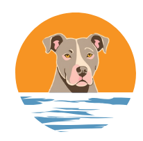South Dog – Éducateur comportementaliste canin